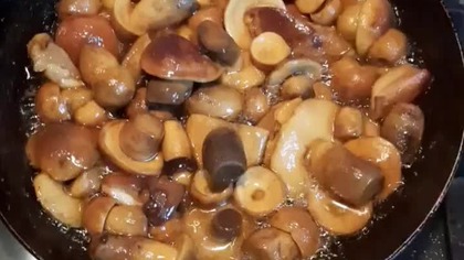 podgrzybki kasztanowe #kuchnia Romana