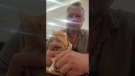 Lotnisko Neapol 8  za pyszną kanapkę i dużą kawę 