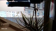 Test kamery HIKVISION DS-2DE4425IW-DE(T5) PTZ 4Mpx 25x ZOOM