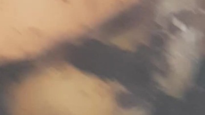 Snails muscles undulating 