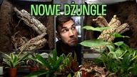 TROPIKALNA DOSTAWA  Terraria + zwierzęta
