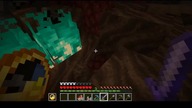 One of my cats got into the Nether #minecraft #Short #Shorts #Game #Nether #What #Kitty #Cat #Why