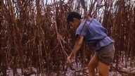 Krew bohaterów / The Blood of Heroes (1989)