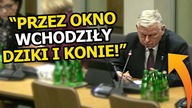 Marek Suski BREDZI?! Dziki, konie, ludzie wchodziły przez okna!