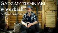 Sadzenie ziemniaków w workach kontra inna propozycja.