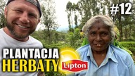 Sri Lanka - Mam już dość Nie tak miało być! #12