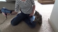 Kot przeciwko suszarki do włos&oacute;w, Cat vs hairdryer 