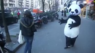 Upadek przy pandzie