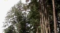 reka S01E08 - Right As Raynes.pl