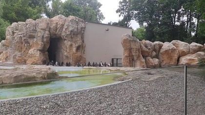 New penguin enclosure at #WarsawZoo 