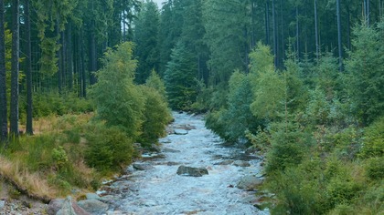 Relaxing Mountain Stream Sounds for Sleep - Nature Sounds, White Noise