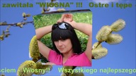 Wiosna