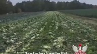Ludzie, opamiętajcie się! - apeluje autorka wideo.  Według niej, jeśli tak dalej pójdzie, to szlag  