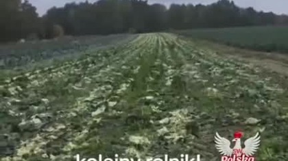 Ludzie, opamiętajcie się! - apeluje autorka wideo.  Według niej, jeśli tak dalej pójdzie, to szlag  mp4 686x432