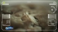 Galileo. 528. PDTV. RiP. MaKaRoN. avi