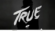 Avicii - Levels (Official Instrumental)