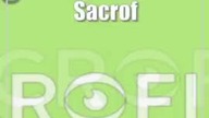 Sacrofilm 2024: Do kina w poszukiwaniu piękna, dobra i prawdy