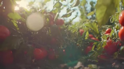 WARNERTV - 06-04-2025 - Reklama (fragment), Zapowiedzi