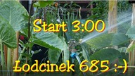 Odc-685..Zraszacz pulsacyjny. Moje amatorskie podlewanie ogrodu,bananowców,warzyw,borówki,jagody itp