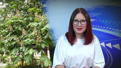 Jaworexpress 04. 02. 2025 - Wiadomości telewizyjne