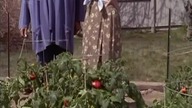 62 Dotyk aniola S03E27 Pełnia księżyca