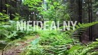 Kuki - Nieidealny - Zwiastun Teledysku