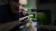 Jak rozpoznać nieszczelność CO2  #akwarium #co2