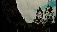 The Cars That Ate Paris - Samochody, które pożarły Paryż (1974)