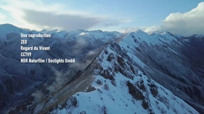 Lodowe królestwo pantery śnieżnej - Le royaume glacé de la panthere des neiges (2020)