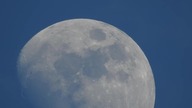 Nikon- amazing zoom