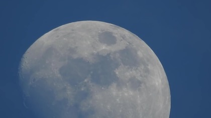 Nikon- amazing zoom