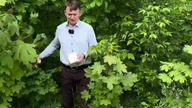 Czekaliście na znak? To jest ZNAK! | Michał Toczyłowski | Narum | Narine
