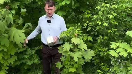 Czekaliście na znak? To jest ZNAK! | Michał Toczyłowski | Narum | Narine