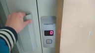 KrakDźwig bitwy pod studziankami klatka ?