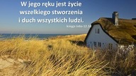 Audycja Wyzwolony - Worth Ellis