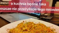 kupię pół restauracji pokażę wam rzeczy które wam się nie śni