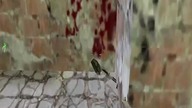 cs 1.  6 odc 175 #cs16 #counterstrike16 #shorts