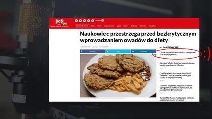 Naukowiec ostrzega przed wprowadzaniem owad&oacute;w do diety