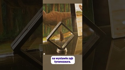 Jedyny w Polsce ząb tyranozaura! #paleontologia