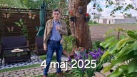 Kanarki i kurczaki się wykluły * Silny wiatr i ochłodzenie * 04.  05.  2025