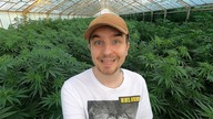 ROBIMY SUSZ CBD - DZIEŃ NA PLANTACJI FREEDOM FARMS