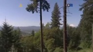 Chorować w USA.  Dokument