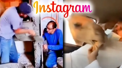 Najgłupsze memy z ibstagrama xD