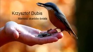 Marność skarbów świata - Krzysztof Dubis