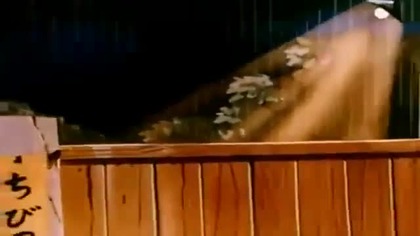 Tygrysia Maska Lektor PL. 037