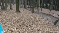 Kompilacja upadków na rowerze