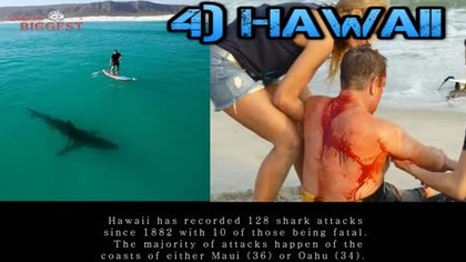 Top 5 Shark Attack Beaches
