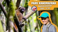 Park Narodowy Ranomafana - Madagaskar