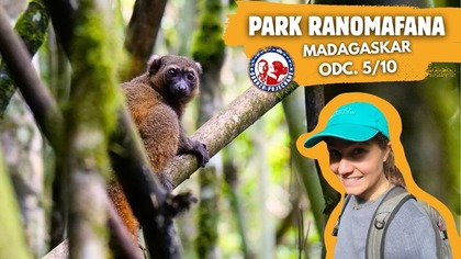 Park Narodowy Ranomafana - Madagaskar