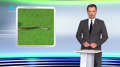 TTV - Sport (01. 08. 2023)